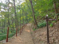 팔공산금화자연휴양림 - |