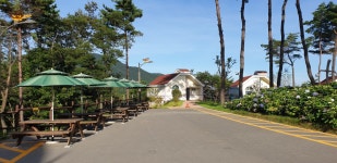 산림청 국립달음산자연휴양림 - |