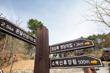 소백산자연휴양림 - |