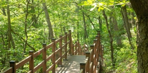 의왕 바라산자연휴양림 - 숲갤러리 |