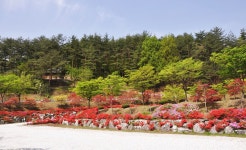 구수곡자연휴양림 - |