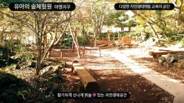 교래자연휴양림 - |