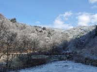 산삼자연휴양림 - |