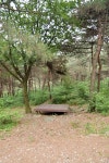 태학산 자연휴양림, 태학산 치유의 숲 - |