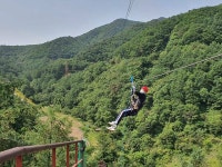 좌구산휴양랜드 - 숲갤러리 |