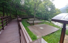 보현산자연휴양림 - |