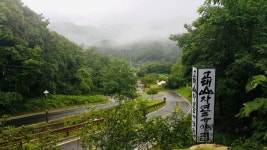 자연에서 쉬어가요! 고대산자연휴양림 - |