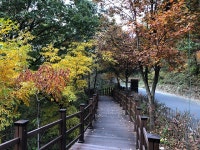 좌구산휴양랜드 - 숲갤러리 |
