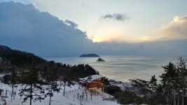 숲나들e - |