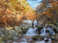 산림청 국립방태산자연휴양림 - |