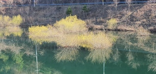 칠갑산자연휴양림 - |