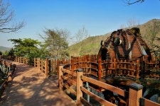 제암산자연휴양림 - 휴양림갤러리 |