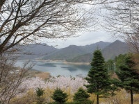 계명산자연휴양림 - |