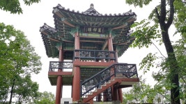 Naver 搜索结果照片 4