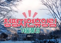 청평자연휴양림 - 영상갤러리 |