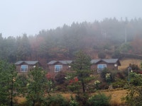 여수 봉황산자연휴양림 - |