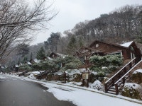 숲나들e - |
