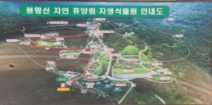 여수 봉황산자연휴양림 - |