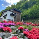 독용산성 자연휴양림 - |