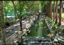 칠갑산자연휴양림 - |