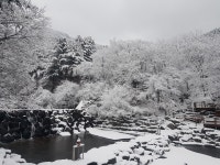 축령산자연휴양림 - |