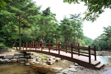 오도산자연휴양림 - |