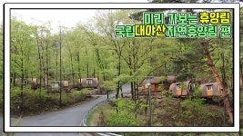산림청 국립대야산자연휴양림 - |
