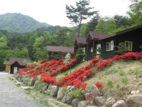 오도산자연휴양림 - |