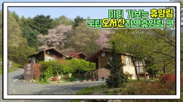 산림청 국립오서산자연휴양림 - 영상갤러리 |