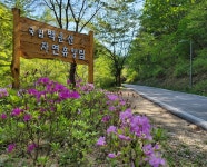 숲나들e - |