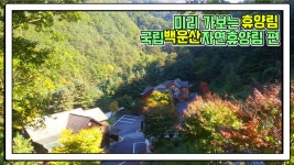 산림청 국립백운산자연휴양림 - 영상갤러리 |