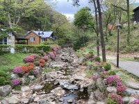 용인자연휴양림 - |