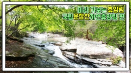 산림청 국립운장산자연휴양림 - 영상갤러리 |