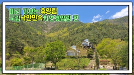 산림청 국립낙안민속자연휴양림 - 영상갤러리 |