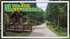 산림청 국립남해편백자연휴양림 - 영상갤러리 |