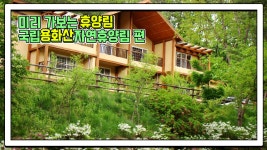 산림청 국립용화산자연휴양림 - |