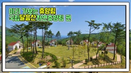 산림청 국립달음산자연휴양림 - 영상갤러리 |