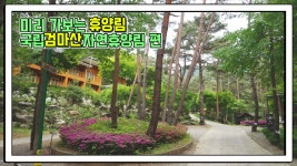 산림청 국립검마산자연휴양림 - |