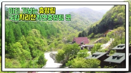 산림청 국립지리산자연휴양림 - 영상갤러리 |