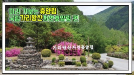 산림청 국립가리왕산자연휴양림 - 영상갤러리 |