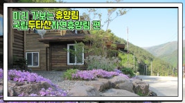 산림청 국립두타산자연휴양림 - 영상갤러리 |