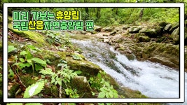 산림청 국립산음자연휴양림 - |