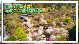 산림청 국립유명산자연휴양림 - |