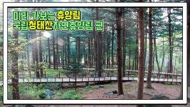 산림청 국립청태산자연휴양림 - 영상갤러리 |