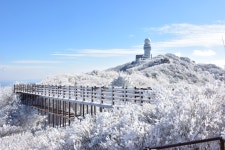 비슬산자연휴양림 - 숲갤러리 |