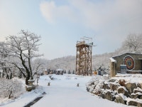 강화자연휴양림 - |