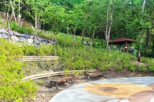 옥화자연휴양림 - |