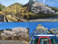 안동 계명산자연휴양림 - |