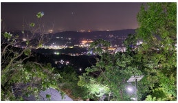 숲나들e - |
