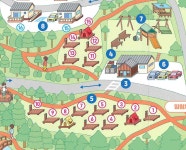 사천 케이블카 자연휴양림 - 숲갤러리 |